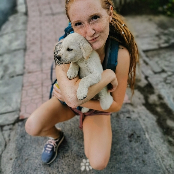 Meet your Posher, Victoria - Picture 1 of 1